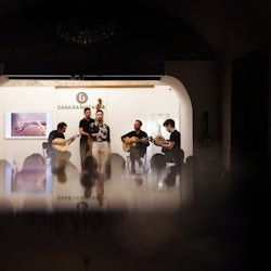 Porto: Fado Concert in Casa da Guitarra with Port Wine - 2