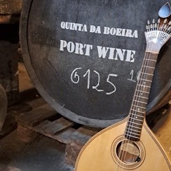 波尔图:法朵表演+在Quinta da Boeira品尝港口葡萄酒 - 1