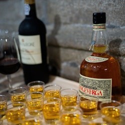 Porto: Guided Monastery Tour + Fado Show - 3