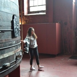 Porto: Guided Wine Tour + Tastings - 1