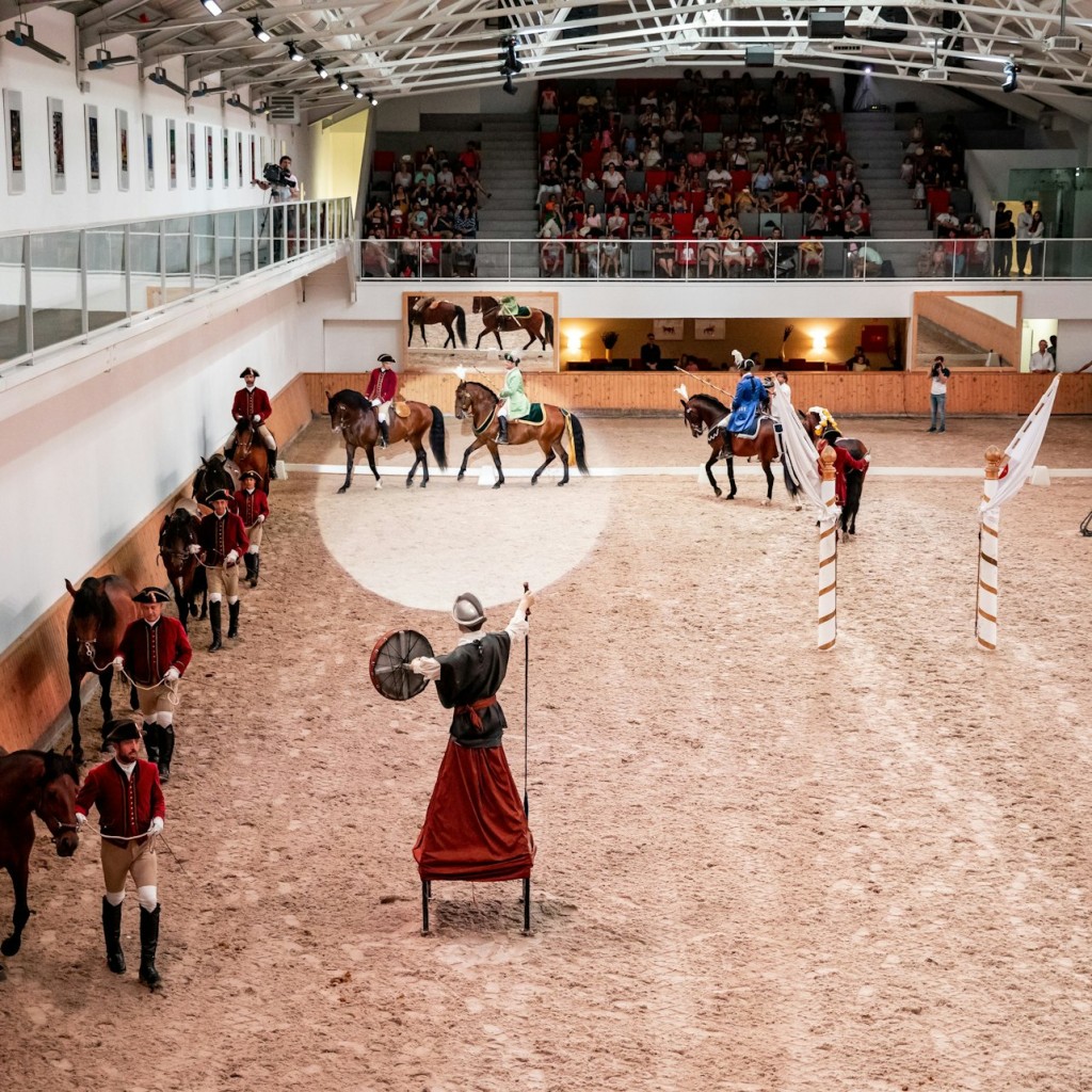 Portuguese School of Equestrian Art: Morning Training - North Stall - 1