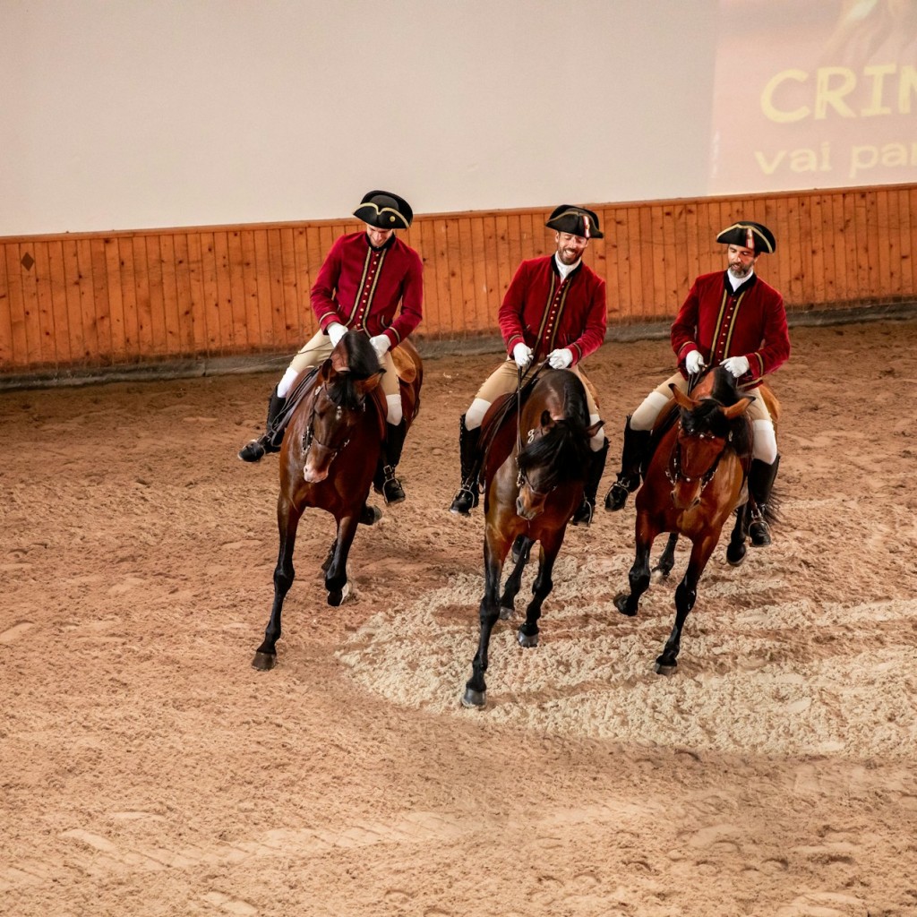 Portuguese School of Equestrian Art: Morning Training - South Stall - 3