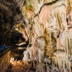 Höhle der Postojna & Höhlenburg Predjama: Halbtägige Tour ab Ljubljana - 3