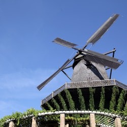 Potsdam: Half Day Trip from Berlin - 3