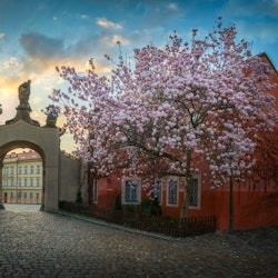 Prague Castle District: Guided Tour - 2