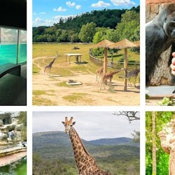 Prague Zoo: Entry Ticket + Audio Guide - 1