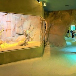 Prague Zoo: Entry Ticket + Audio Guide - 2