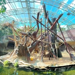 Prague Zoo: Entry Ticket + Audio Guide - 3