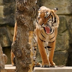 Prague Zoo & River Cruise to the Zoo - 3