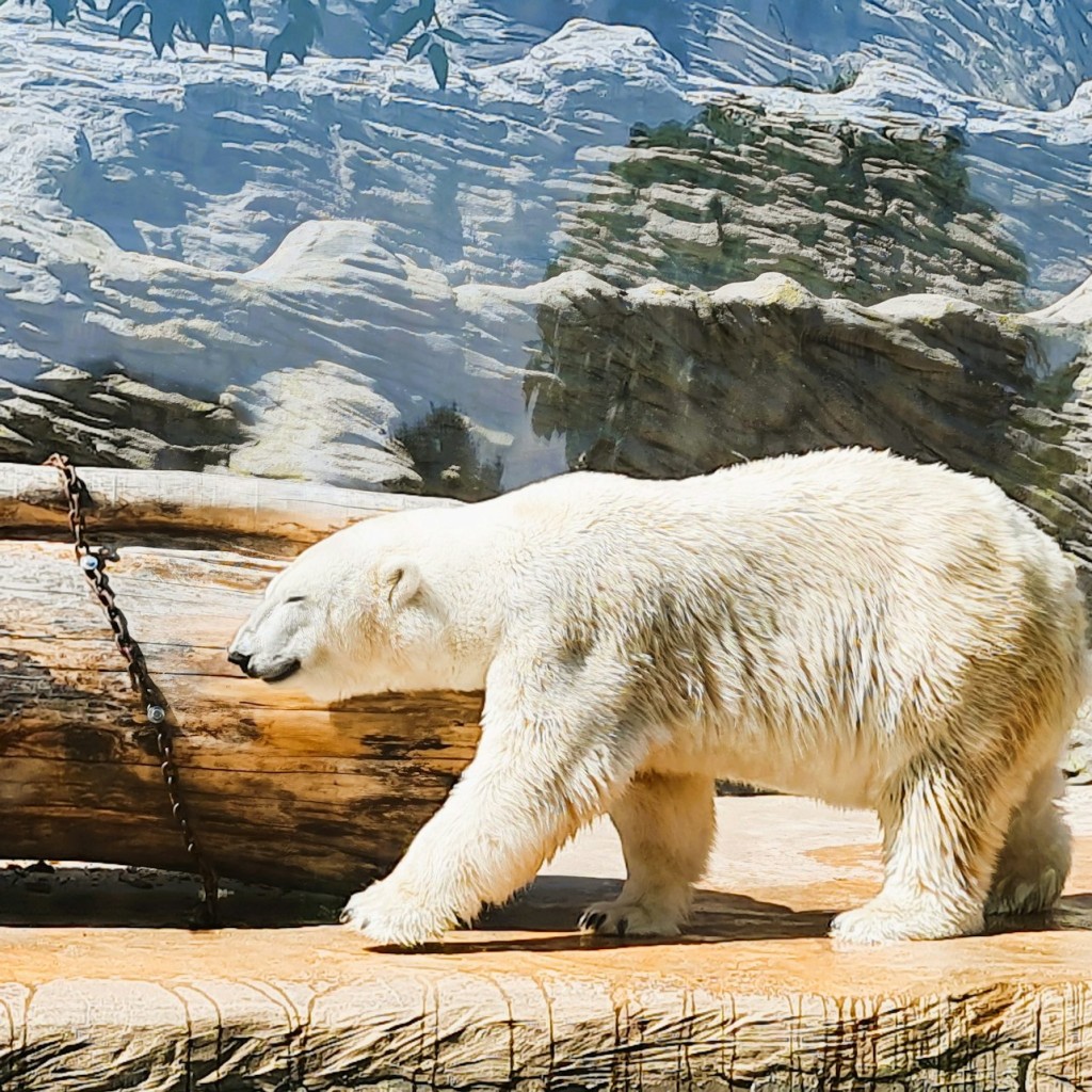 Prague Zoo: Roundtrip Transport + Audio Guide - 2