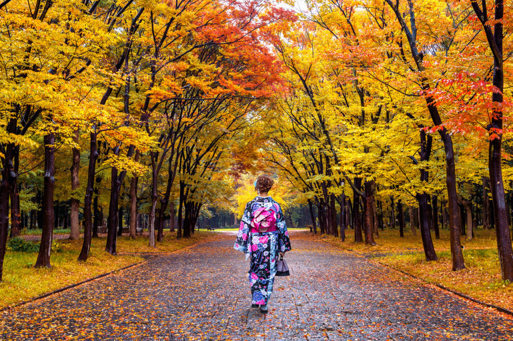 Professional Photo Shoot in Tokyo (Professional Photo Shoot in Tokyo - Two Hours) - 2