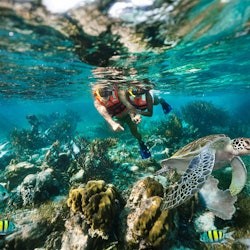 Rafa Puerto Morelos: przygoda z nurkowaniem i lunchem przy plaży - 2