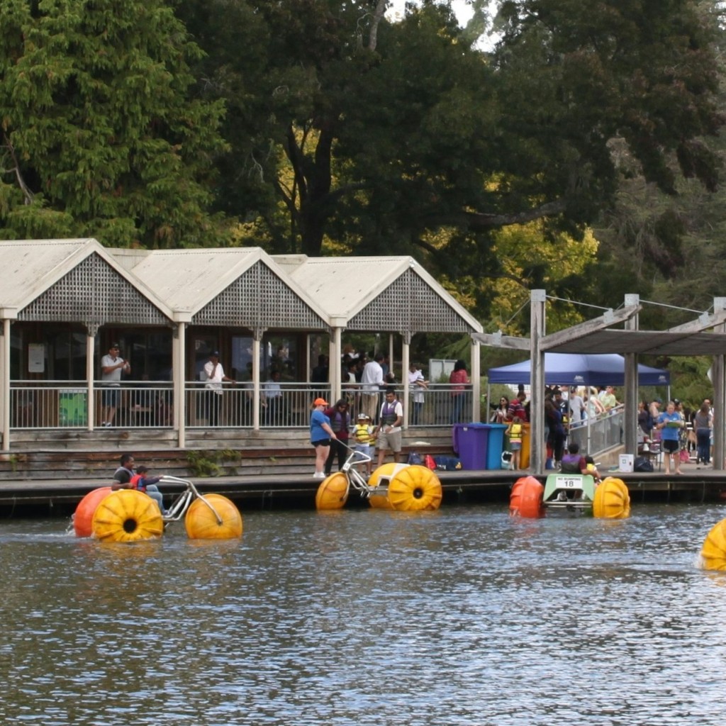 Puffing Billy & Phillip Island Penguin Parade: Bus & Zug Tour ab Melbourne - 1
