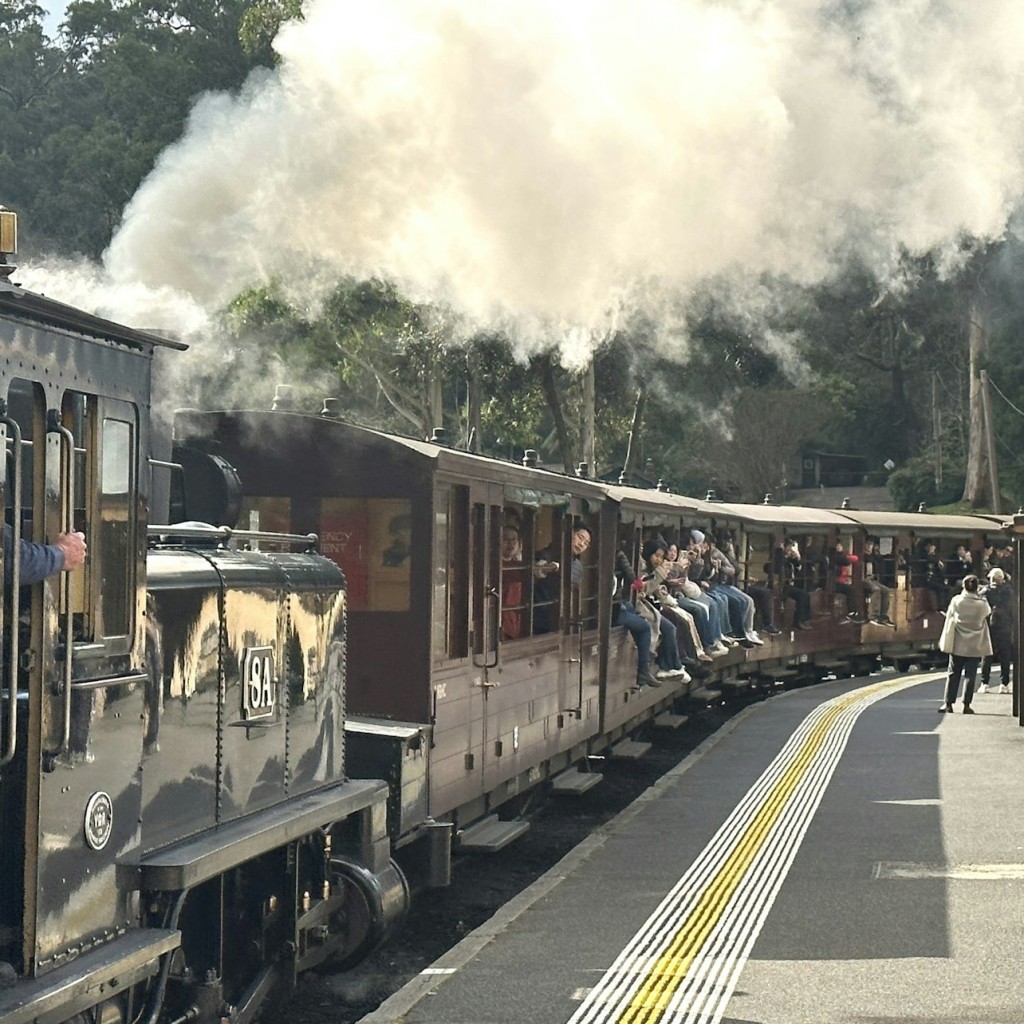 Puffing Billy & Phillip Island Penguin Parade: Bus & Zug Tour ab Melbourne - 2