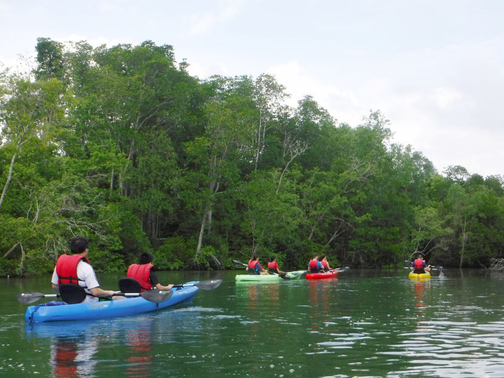 Pulau Ubin Kayaking (Pulau Ubin Mangrove Kayaking (Afternoon)) - 2