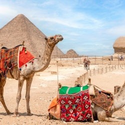 Pyramides de Gizeh et Grand Musée Egyptien : Billets d'entrée + transferts - 3