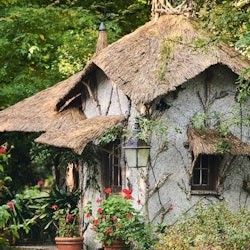 Quinta da Aveleda: Visita a la finca con cata de vino verde - 1
