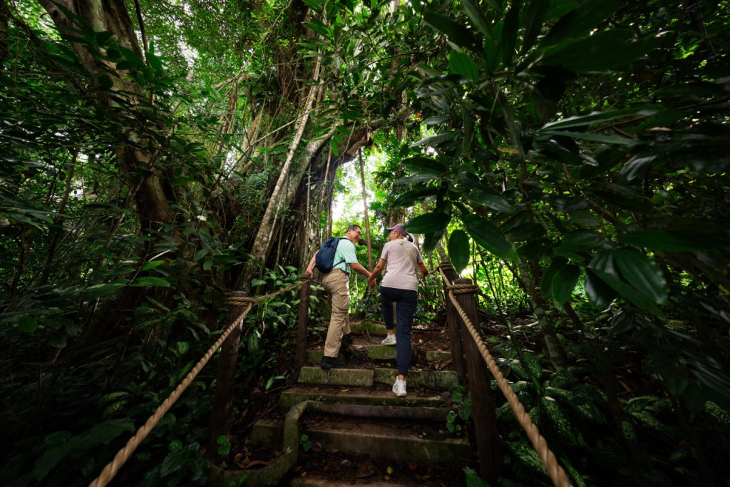 Rainforest Wild Adventure Ticket (PROMO: Fixed Dated Admission + 5 Adventure+ Access (Weekends)) - 1