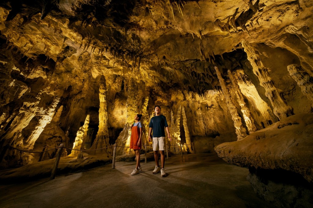 Rainforest Wild Adventure Ticket (PROMO: Fixed Dated Admission + 9 Adventure+ Access (Weekdays)) - 3