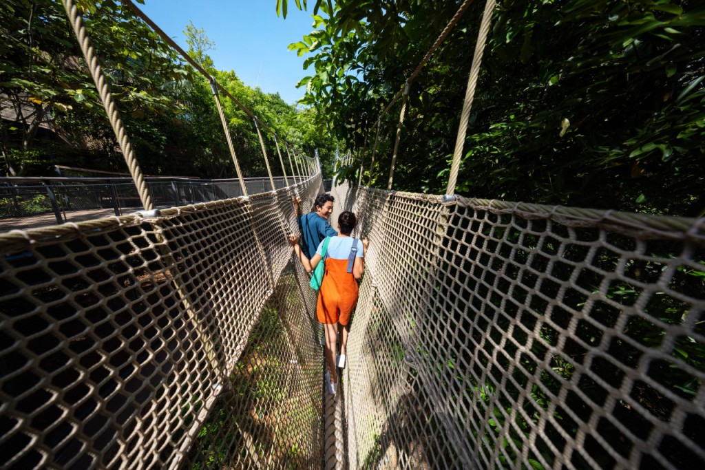 Rainforest Wild Adventure Ticket (PROMO: Open Dated Admission + 5 Adventure+ Access (Weekends)) - 2
