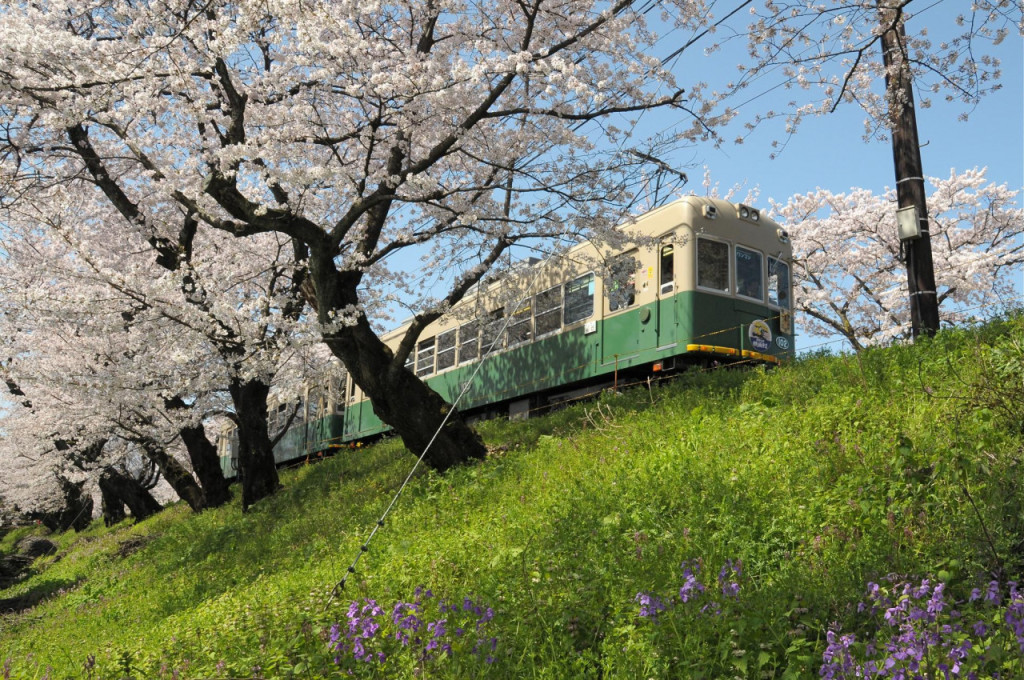 Randen Pass (Randen Pass - 1 Day + Bicycle Rental + Footbath Voucher at Arashiyama) - 1
