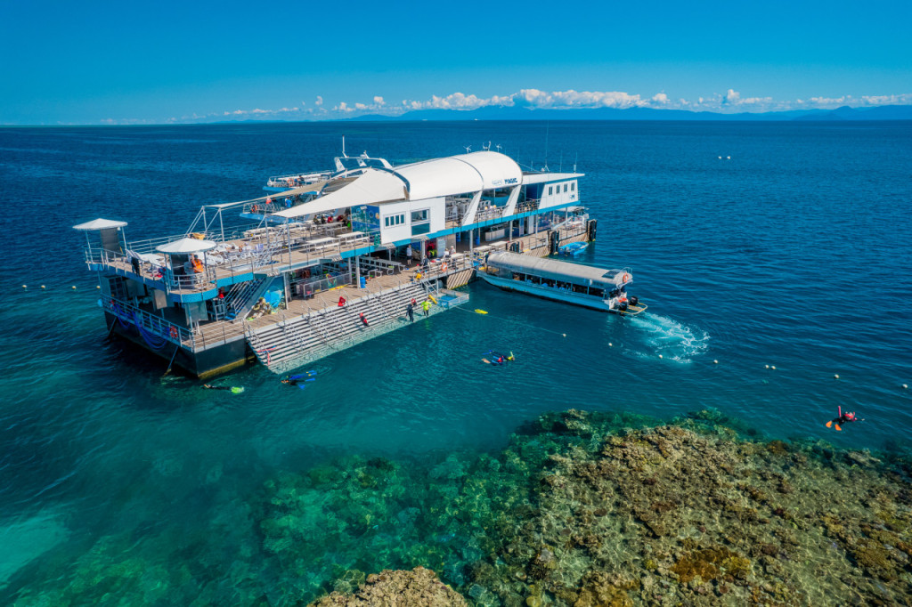 Reef Magic Pontoon Tour from Cairns - 1