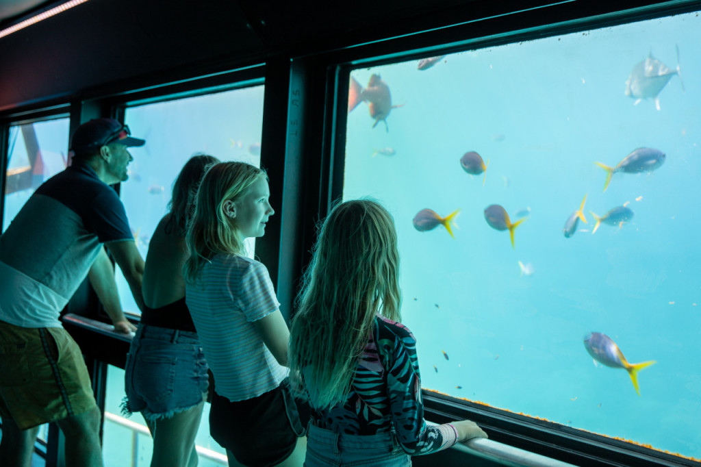 Reef Magic Pontoon Tour from Cairns - 2