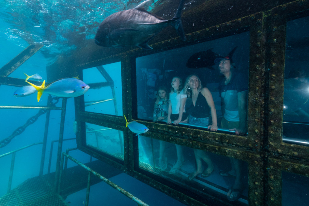 Reef Magic Pontoon Tour from Cairns - 3