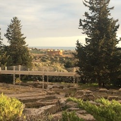 Regional Archaeological Museum Pietro Griffo: Entry Ticket - 1