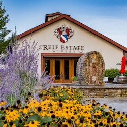 Reif Estate Winery: Premium Wine Tasting - 1