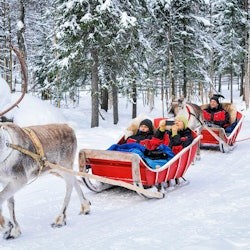 Reindeer Farm: Guided Tour + Transfer - 2