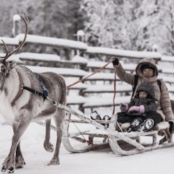 Reindeer Farm: Guided Tour + Transfer - 3