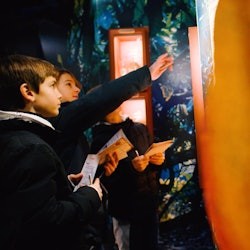 Rex Studios + Musée du Chocolat - 2