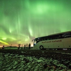 Reykjavík: Northern Lights Bus Tour - 3