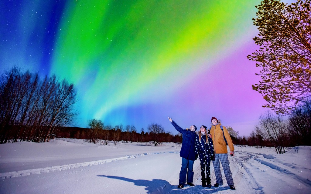 Reykjavik: Northern Lights Chase Tours (Bus Tour from Meeting Point) - 1