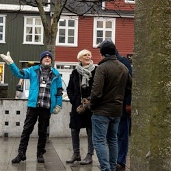 Reykjavik: Private City and Food Walking Tour - 1