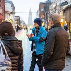 Reykjavik: Tour privat a peu - 1