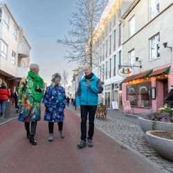 Reykjavik: Tour privat a peu - 2