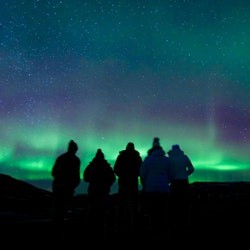 Reykjavík: Small-Group Northern Lights Tour - 3