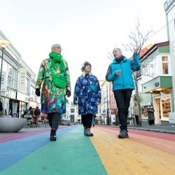 Reykjavik: Walking Tour with a Viking - 1