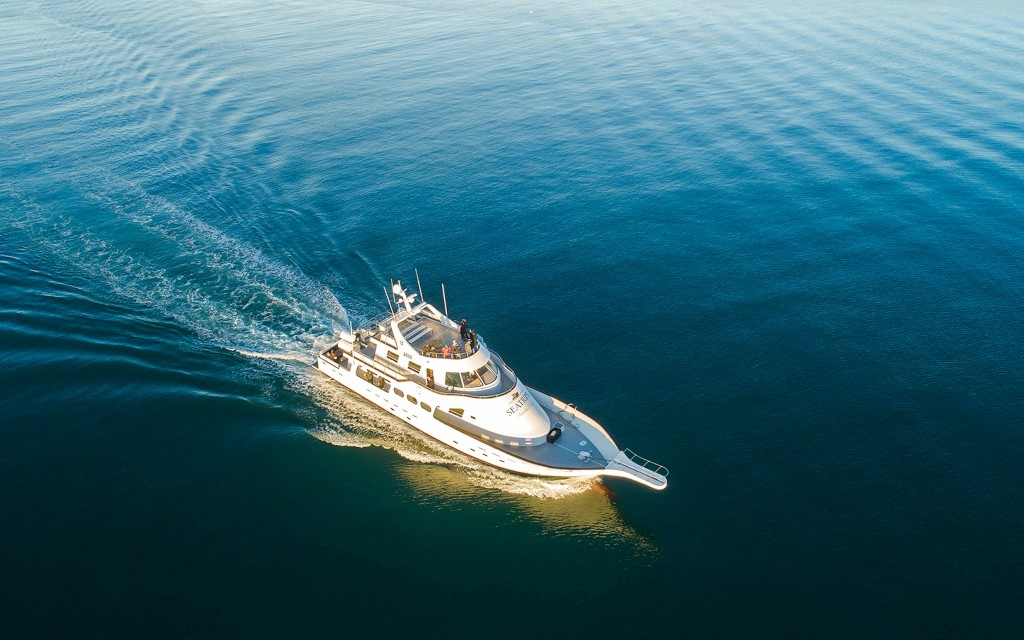 Reykjavík: Walbeobachtung auf einer Luxusjacht (Reykjavik: whale watching on luxury yacht) - 1