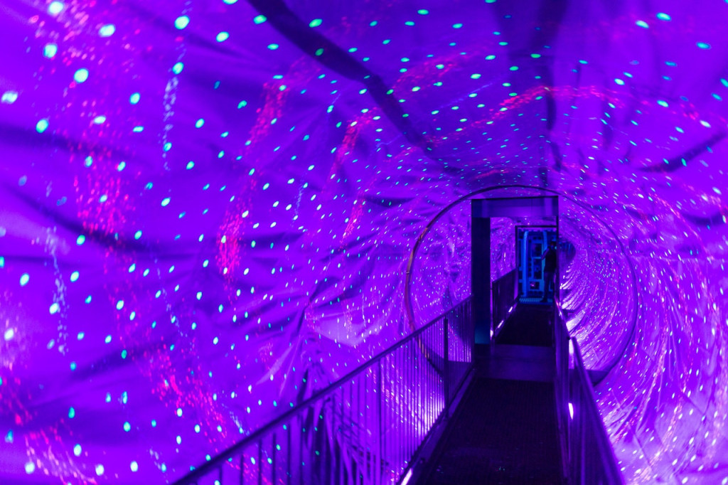 Ripley's Believe It or Not! Amsterdam (Ripley's Believe It or Not! Amsterdam  - Admission) - 3
