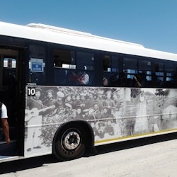 Excursió de dia complet a l'illa de Robben i la muntanya de la Taula - 1