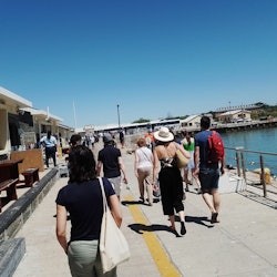 Excursió de dia complet a l'illa de Robben i la muntanya de la Taula - 3