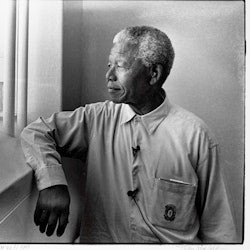 Robben Island i Groot Constantia: bilet wstępu + transfer łodzią - 3