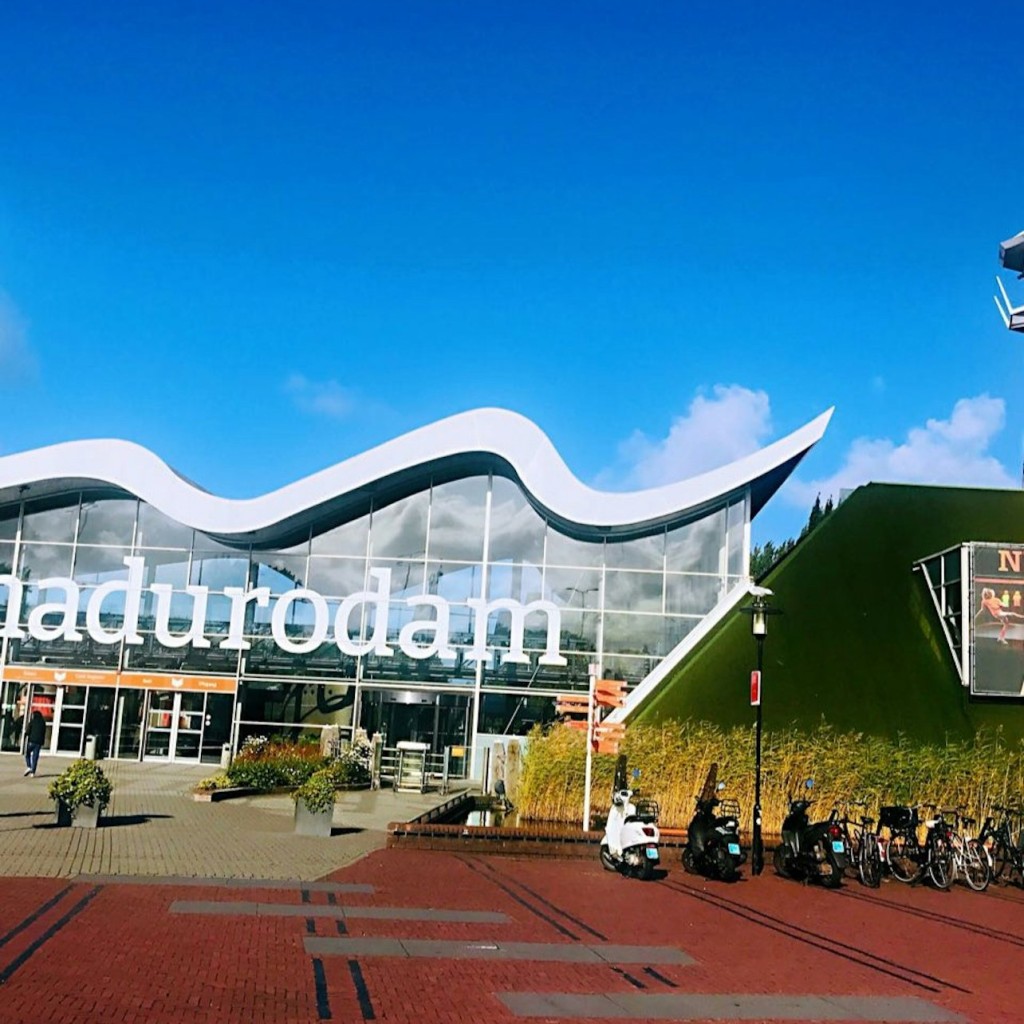 Rotterdam, Delft & The Hague: Day Trip from Amsterdam - 3