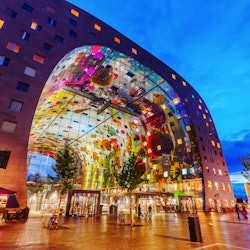 Rotterdam & The Hague: Guided Tour from Amsterdam - 3