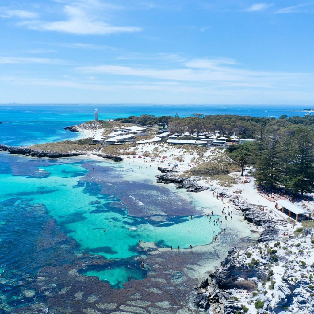 Rottnest Island Bayseeker Bus Tour with Round Trip SeaLink Ferry Transfer (Rottnest Island Bayseeker Bus Tour with Round Trip SeaLink Ferry Transfer (Depart from Fremantle) - 1:45 PM Bayseeker Tour) - 3