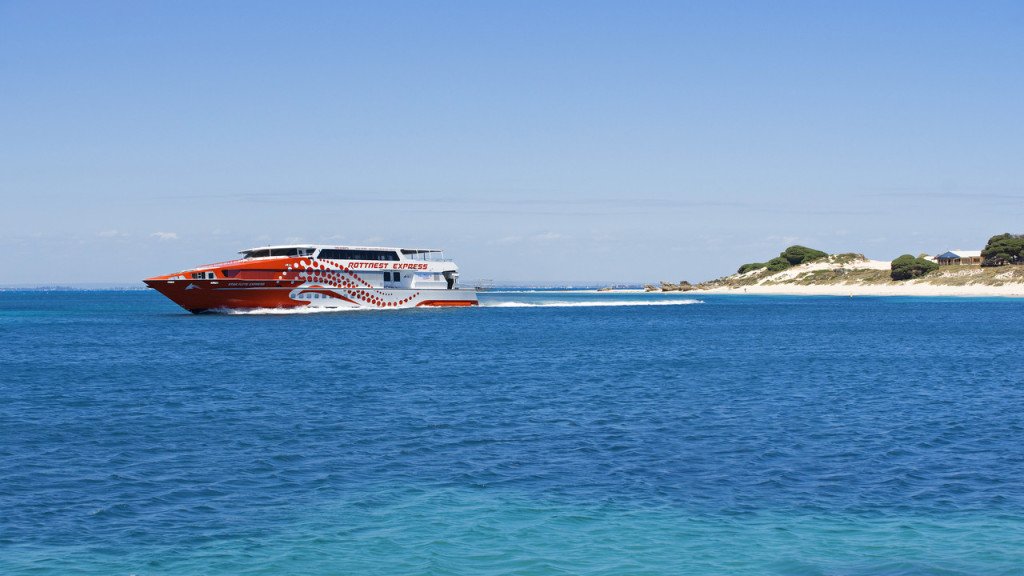 Rottnest Island Bus Tour with Round Trip Rottnest Express Ferry Transfer (Morning Bus Tour with Round Trip Ferry from Fremantle (9:30 AM Departure) - 11:20 AM Discover Rottnest) - 1