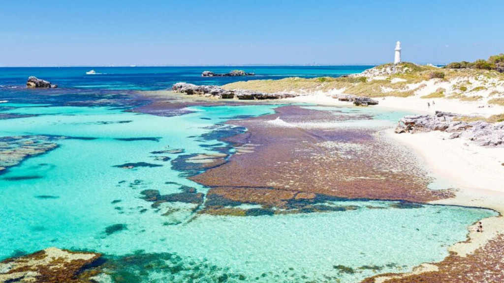 Rottnest Island Fortress Adventure Segway Tour with Round Trip SeaLink Ferry Transfer (Rottnest Island Fortress Adventure Segway Tour  with Round Trip SeaLink Ferry Transfer (Depart from Perth)) - 2